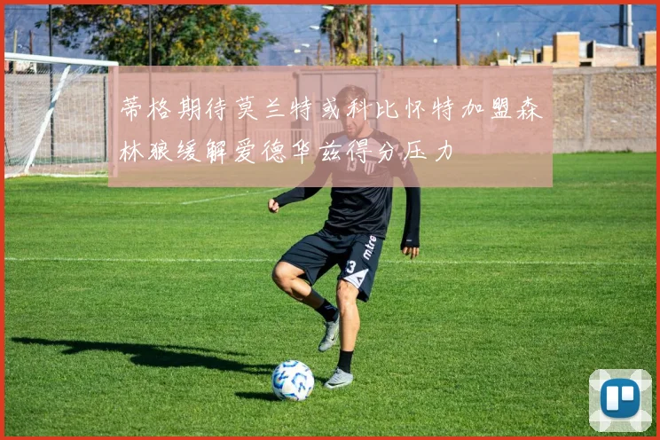 蒂格期待莫兰特或科比怀特加盟森林狼缓解爱德华兹得分压力