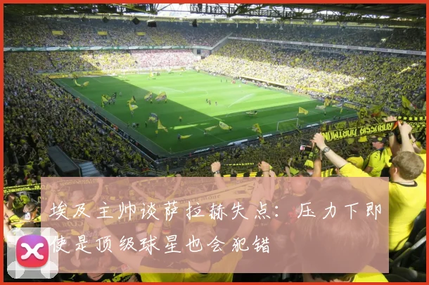 埃及主帅谈萨拉赫失点：压力下即使是顶级球星也会犯错