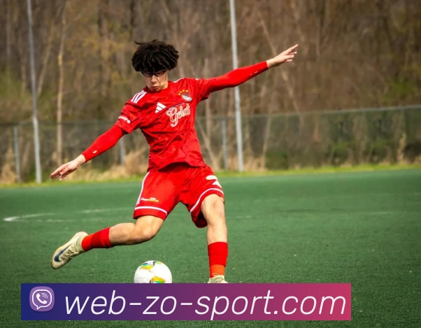 中欧体育发展历程